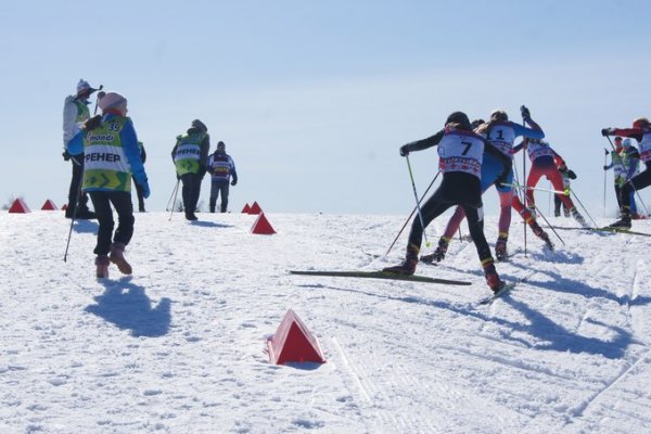 Молодые лыжники Коми завоевали две медали Всероссийских соревнований на призы Раисы Сметаниной