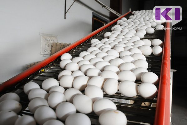 Аграрии Коми на 60% обеспечивают потребность республики в мясе птицы и яйце

