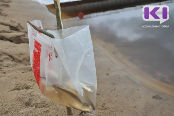 В Прилузском районе обнаружено тело утонувшего в апреле рыбака