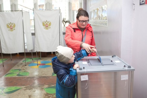 Предварительное голосование в Коми проходит в штатном режиме