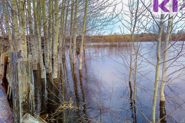 В Усинске на реке Колва вода за сутки поднялась на 133 см