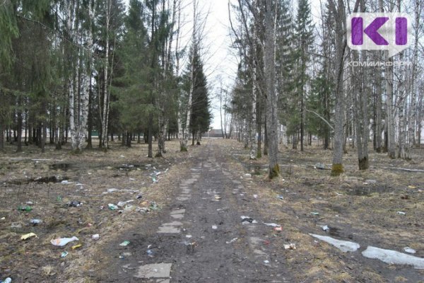 Очистка территории микуньского парка обойдется в 1,7 млн. рублей