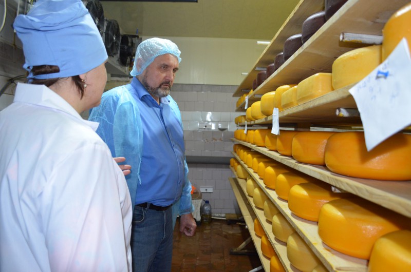 Предприятие "Ухта -97" расширяет линейку сыров