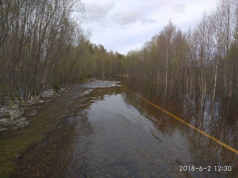 До 6 июля на Аныбской переправе в Корткеросском районе установят наплавной мост