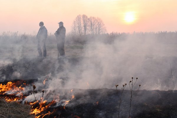В Троицко-Печорском районе и на Удоре горит лес 