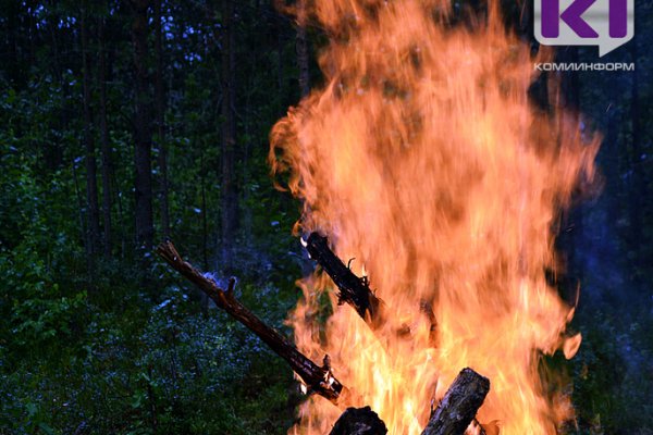 В Удорском лесничестве вспыхнул лесной пожар