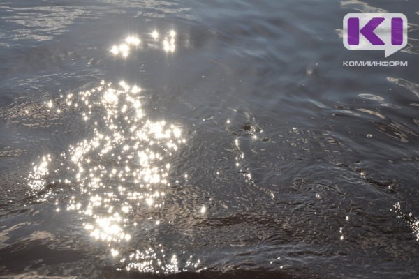 В Микуне на искусственном водоеме утонул пятиклассник