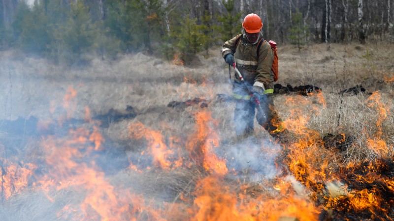 В Коми горит 82 гектара леса