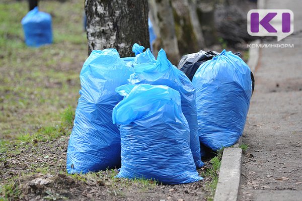 Сыктывкарцы откликнулись на призыв мэрии выйти на уборку зелёной зоны по улице Димитрова