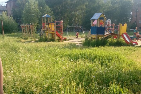 Детские площадки Микуня заросли травой