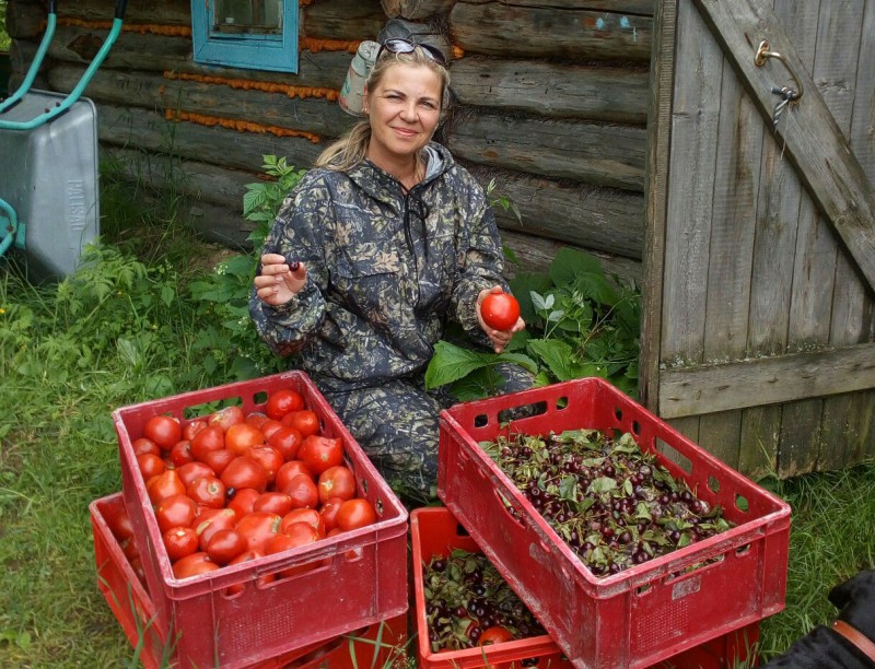 Предпринимательница из Ухты Полина Ефремова снова привезла щедрые гостинцы для лосят

