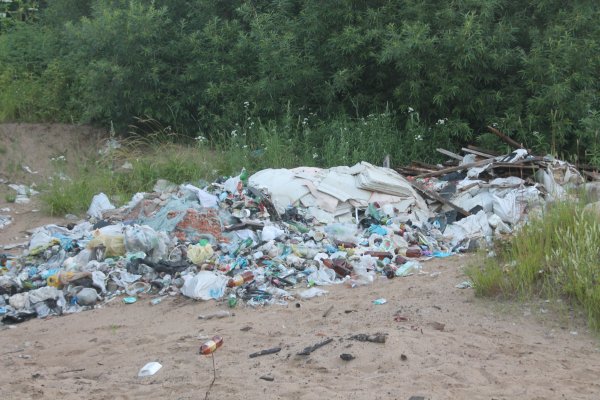 Сыктывкарцы требуют ликвидировать нелегальную мусорную свалку по улице Кирова