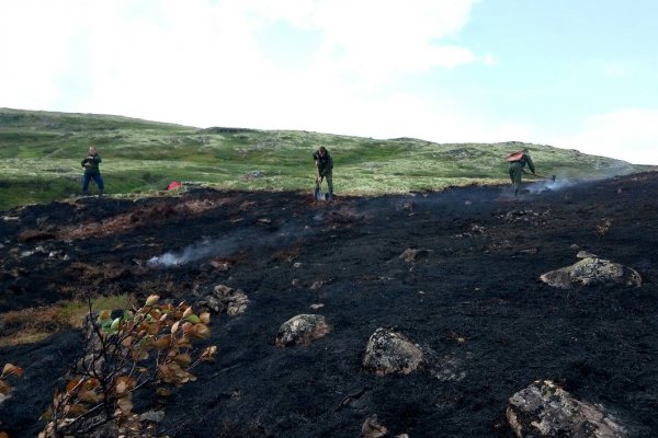 Пожарные из Коми потушили более тысячи гектаров леса в Мурманской области