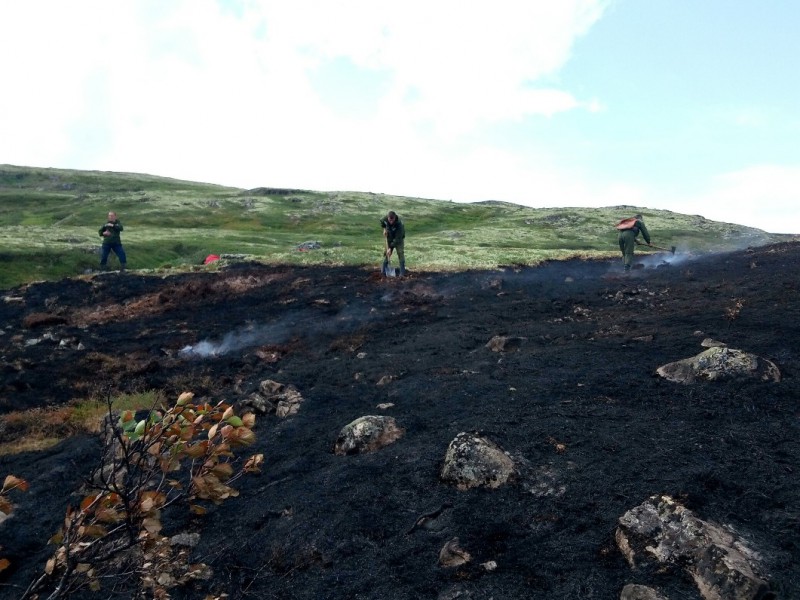 Пожарные из Коми потушили более тысячи гектаров леса в Мурманской области