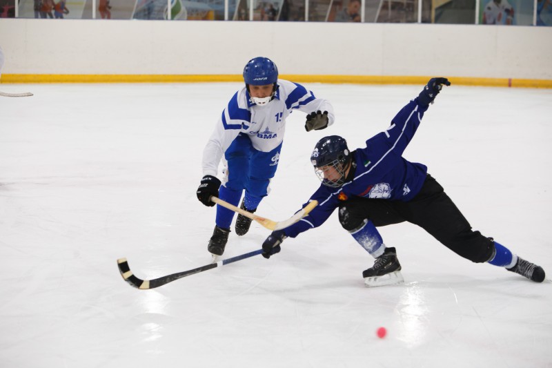 Сборная Коми победила на хоккейном турнире Всероссийского фестиваля национальных и неолимпийских видов спорта