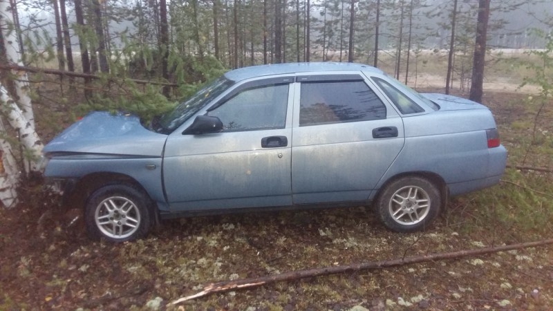В Печорском районе водитель без прав "припарковался" в дерево