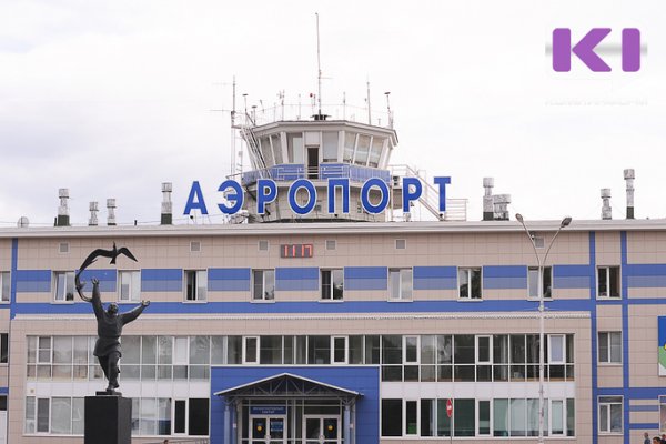 Аэропорт Сыктывкара обязали отпугивать птиц 
