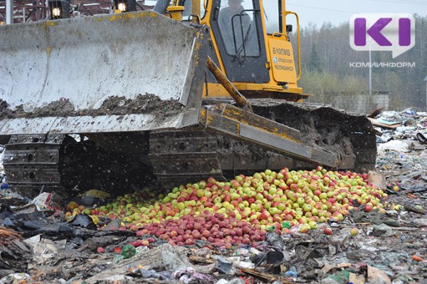 В Сыктывкаре уничтожили яблоки и груши из Украины и Польши 