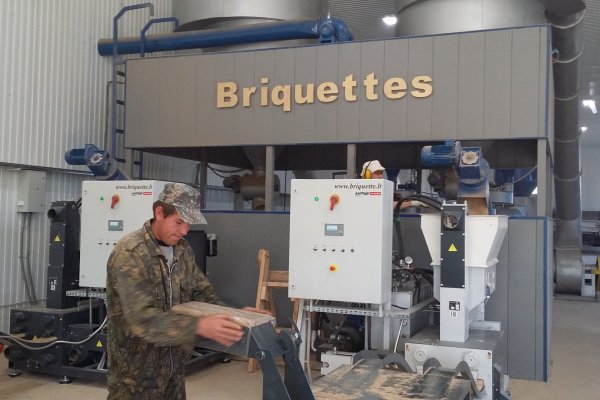 Завод по производству топливных брикетов открылся в лесном поселке Тимшер

