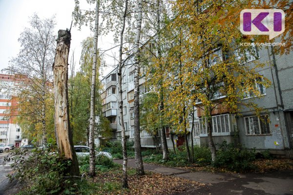 Жителей домов по ул.Пушкина в Сыктывкаре пообещали избавить от тараканов