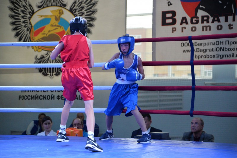 В Сыктывкаре стартовал традиционный турнир по боксу памяти А.А. Католикова