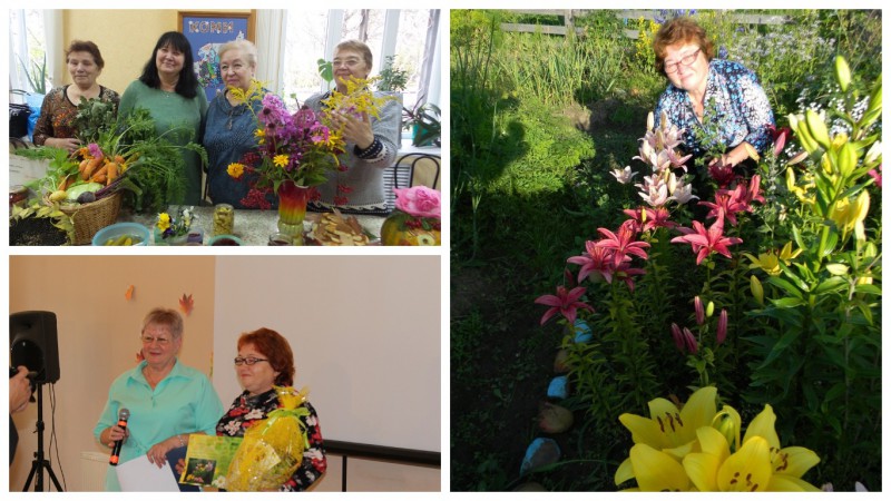 Пенсионеры Ухты представили свой урожай на сельхозвыставке, в Сосногорске наградили лучшего дачника