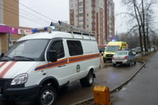 В Сыктывкаре водитель-новичок сбил девушку