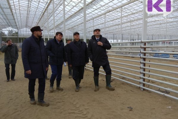 Генподрядчик пояснил, с чем связана задержка в строительстве теплицы в Сосногорске