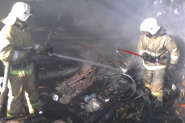 Две козы сгорели на пожаре в Усть-Куломском районе Коми