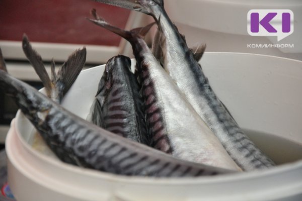 В Коми изъяли более тонны рыбной продукции