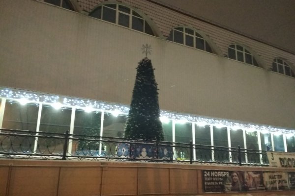 В центре Сыктывкара установили первую новогоднюю ель