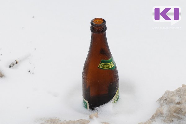 В Усть-Цильме пьяный водитель снегохода врезался в машину
