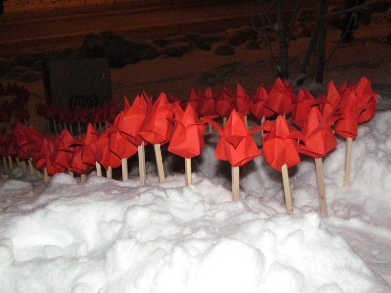 В Эжве в День борьбы со СПИДом пройдет акция "Красные тюльпаны надежды"
