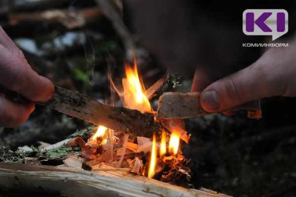 300 часов обязательных работ назначено жительнице Усть-Цилемского района – виновнице лесного пожара