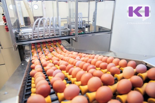 Рост цен на зерно спровоцировал скачок цен на яйца в Коми