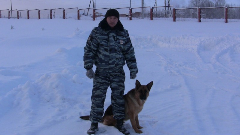 В Коми служебно-розыскная собака не только нашла преступника, но и спасла ему жизнь