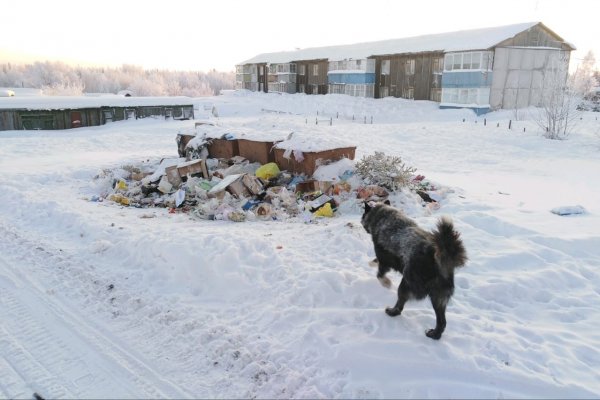Общественники Воркуты взяли на контроль вывоз мусора в Сивомаскинском и Елецком 