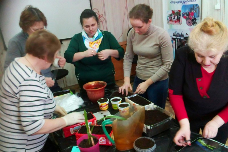 Волонтеры "серебряного" возраста в Ижме посеяли хризантемы и астры