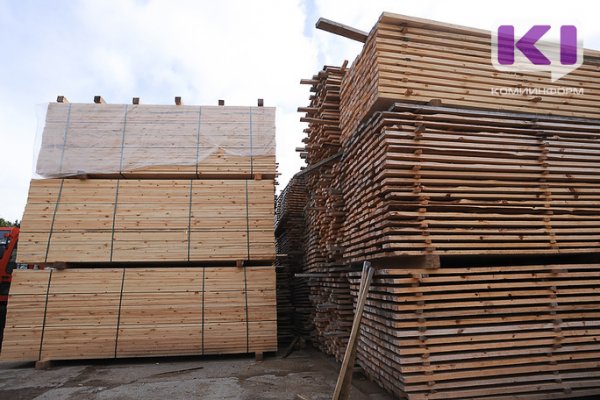 Удорский суд оценил ампутированную руку рабочего лесопилки в полмиллиона рублей