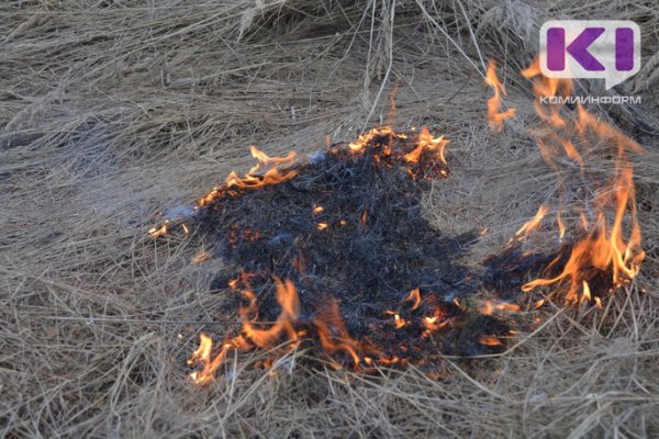 В Княжпогостском районе выгорело 10 тыс. кв. метров сухой травы