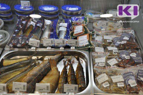 Добыча рыбы в реках Коми снизилась на 17 процентов 