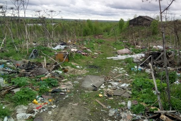 ОНФ в Коми призвал местные власти ликвидировать свалки у берега Вычегды в Жешарте