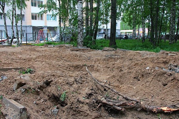 В Сыктывкаре начались работы по обустройству парка 