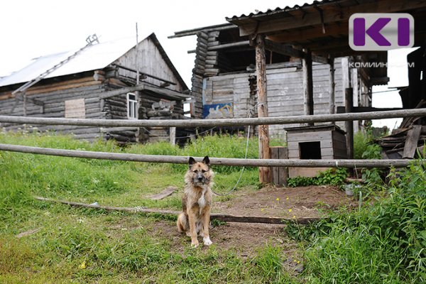 Житель Сысольского района выслушал приговор за убийство соседской собаки