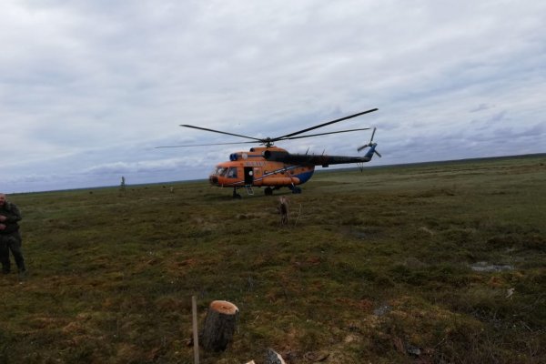 Пропавшие оленеводы в Коми были обнаружены в районе болота Минишей нюр