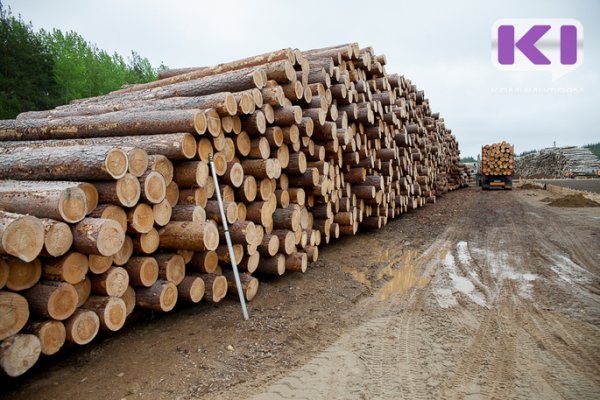 В Коми планируют установить норматив выделения леса для населения