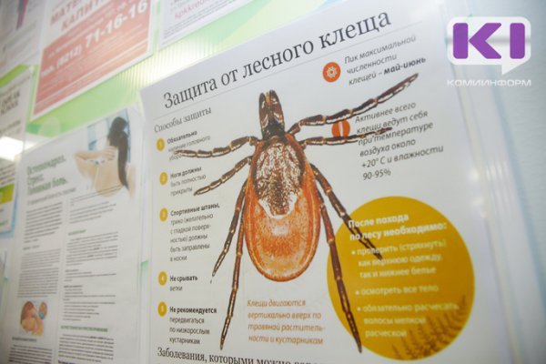 В Коми за неделю от укусов клещей пострадали 120 человек