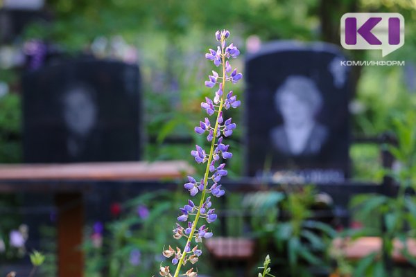 В Усинске за девять млн рублей благоустроят кладбище