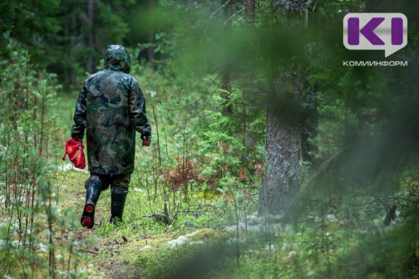 Вуктыльские спасатели отыскали в лесу бабушку по размеру ее обуви