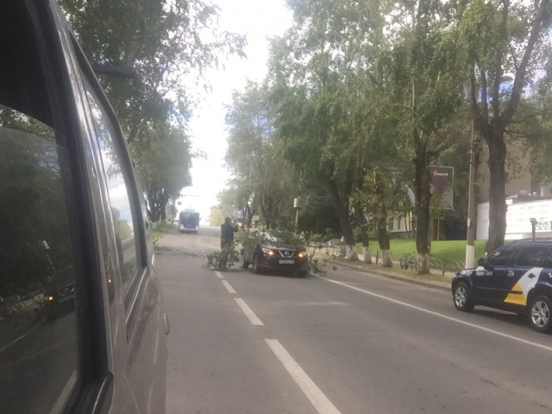 В центре Сыктывкара ветка тополя повредила автомобиль